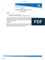 Laboratorio Virtual PDF