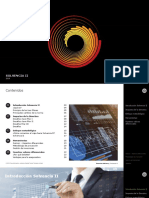Solvencia Ii - Dinamic PDF
