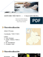 Estudio Técnico. Empresa Calzado