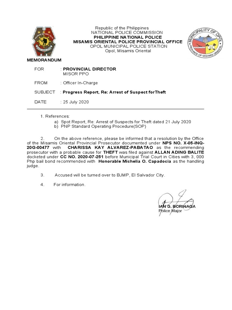 Progress Report on Theft Suspect Arrest | PDF