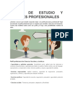aREAS DE ESTUDIO Y PERFILES PROFESIONALES.docx