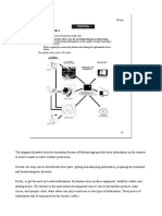 WT1 Process Diagram