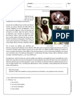 lemur.pdf