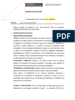 Informe Del Mes de Enero DC 03 - Alvaro Quispe Yana