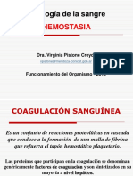 36 - Coagulación Sanguinea - Pistone - 2020