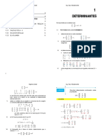 Tema 1 - Determinantes Teoria