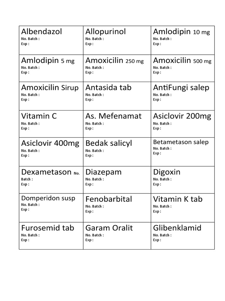 Inventory List of Pharmaceutical Products Including Batch Numbers and