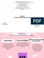 bioquimica esquema.pdf