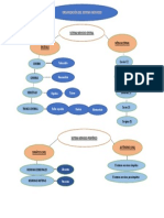 Organizador Grafico Del Sistema Nervioso