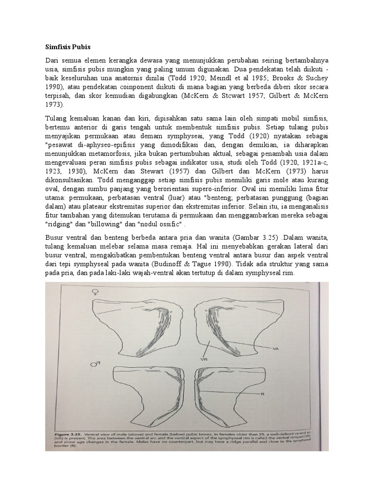 Simfisis Pubis | PDF