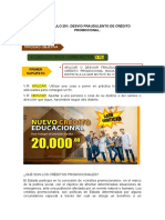 O Articulo 251: Desvío Fraudulento de Crédito Promocional.: Tipicidad Objetiva