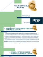 Sem 1 y 2 Peritaje Contable