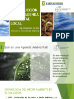Agenda Ambiental Local Dsa