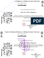 Certificado Reiki Níveis 1-3