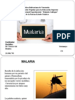 TEMA 14 Malaria