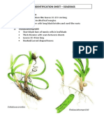 Enhalusacoroides: Identification Sheet - Seagrass