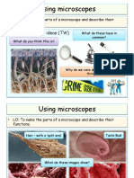 Using Microscopes: Starter: Thinking Ideas (TW)