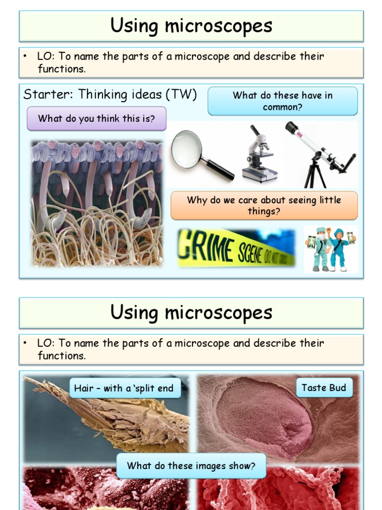 Using Microscopes: Starter: Thinking Ideas (TW) | PDF | Microscope ...