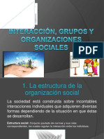 Interacción, Grupos y Organizaciones Sociales(1)