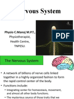 Nervous System Physiology