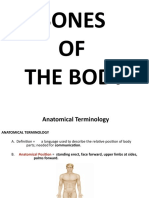 Bones OF The Body