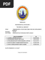 Technical Report 1