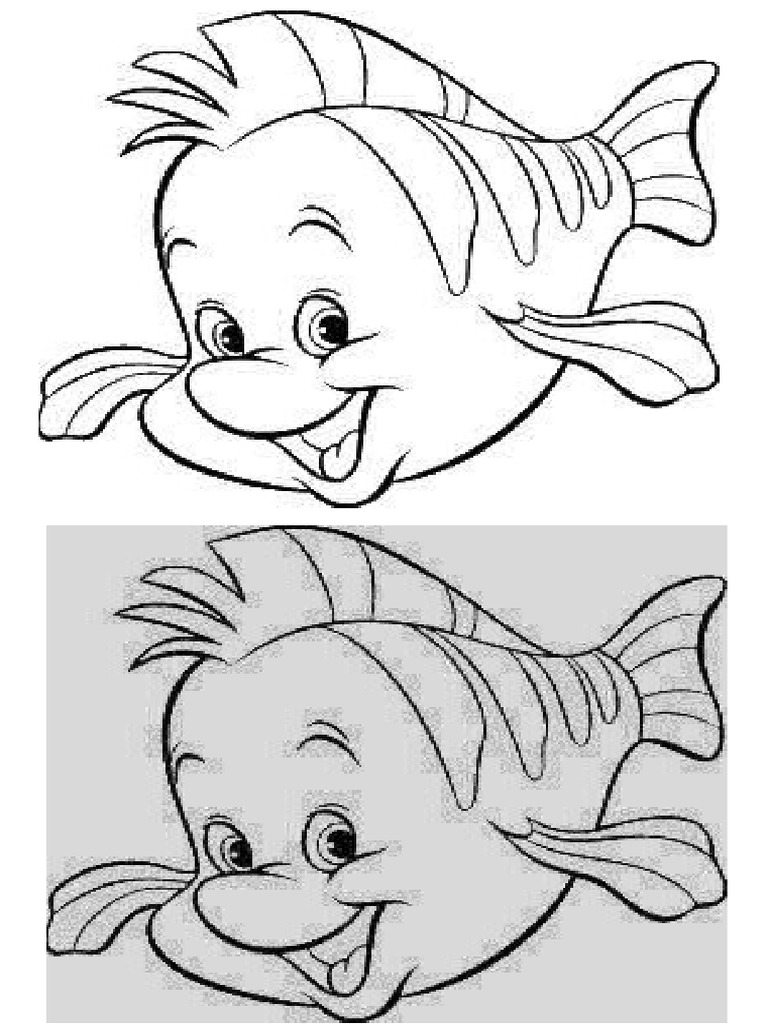 Flounder PDF