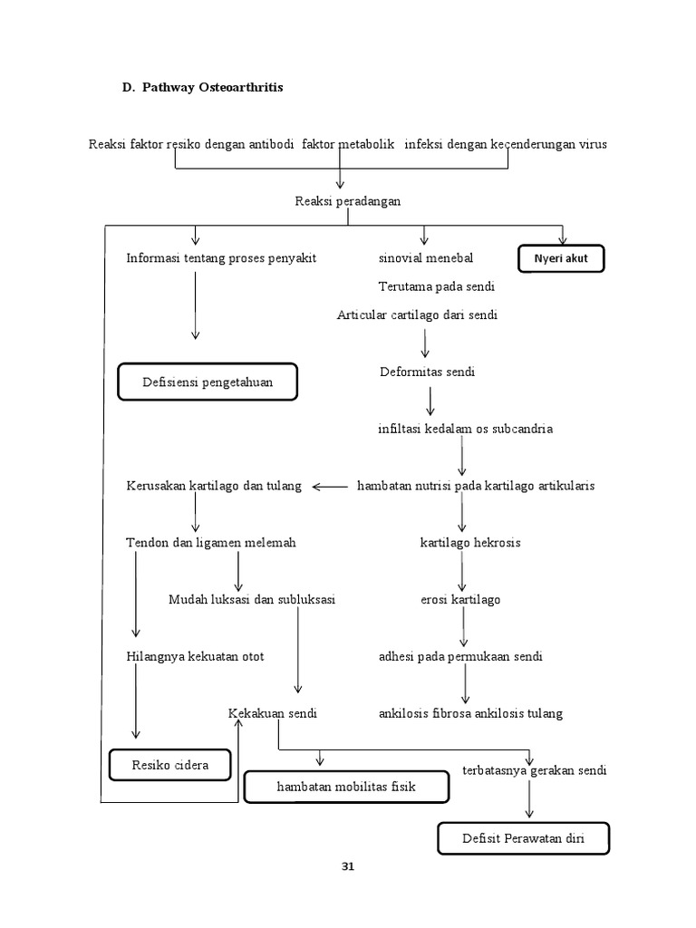 Pathway Oa | PDF