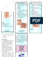 Dokumen - Tips Leaflet-Isk