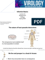 Infection Basics: Biology 4310 Virology Spring 2020