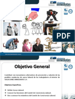 comite_de_convivencia_laboral.pdf