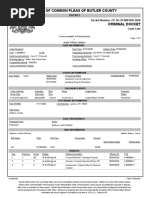 Austin Addison Court of Common Pleas Docket