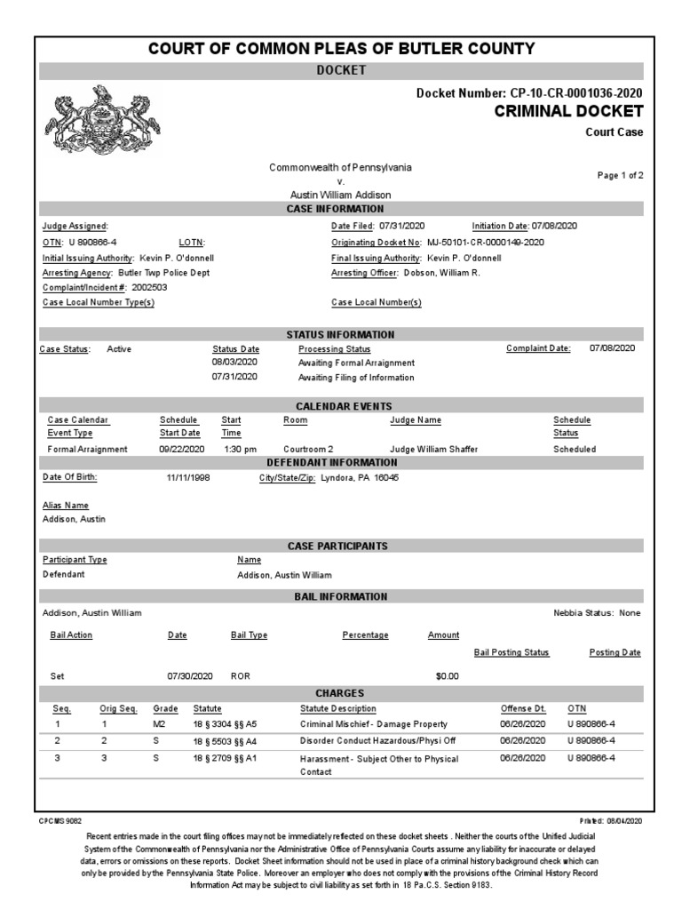 Austin Addison Court of Common Pleas Docket | PDF | Criminal Record |  Arraignment