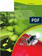 Insectos 4.seccion - 5-6-7 PDF