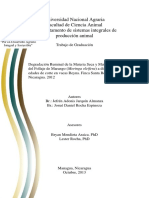 Moringa_Degradation.pdf