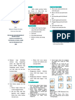 Leaflet Pencegahan Infeksi