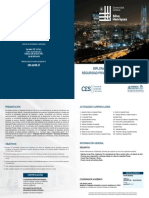 Diplomado-en-Gestion-de-Seguridad-Privada-Integral-E-LEARNING-1.pdf