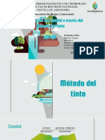 Metodo Del Tinte PDF