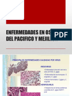 Enfermedades en Ostras