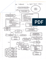 Procedimiento Laboral