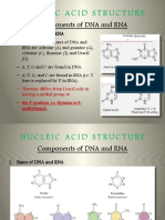 Nucleic Acid Structure: Components of DNA and RNA