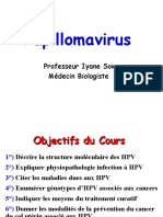 Papillomavirus