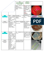 laboratorio  medios de cultivo