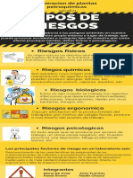 Infografía Tipos de Riesgos PDF