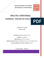 Informe Fog Practica Industrial Corregido