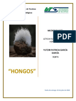 Hongos Yuyu PDF