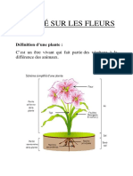 Expose Sur Les Fleurs Manon