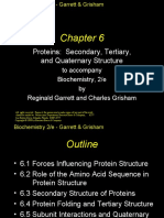 Proteins: Secondary, Tertiary, and Quaternary Structure