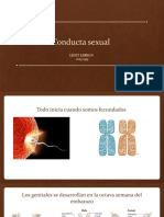 Conducta Sexual Diapositiva