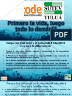 Razones Del No A La Alternacia PDF